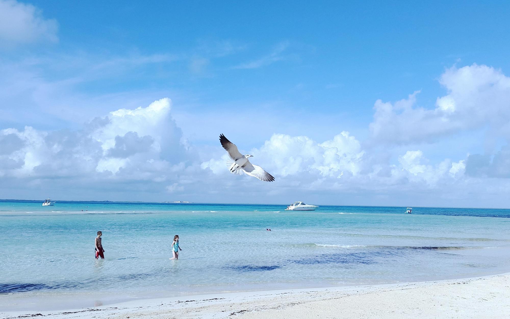 Mia Reef Isla Mujeres Cancun All Inclusive Resort Buitenkant foto